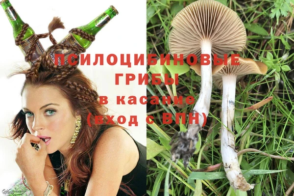 метадон Абинск
