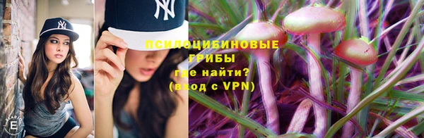 прущие крисы Алексин