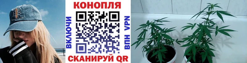 Шишки марихуана MAZAR  МЕГА ссылка  Нефтегорск 